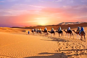 Paysage chameau désert